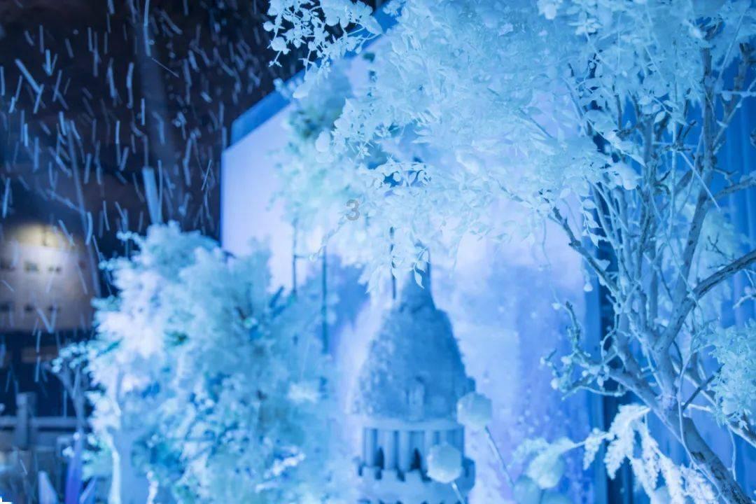 赏冰雪 迎亚冬盛会！多国驻华使节和外交官近距离体验哈尔滨冰雪魅力